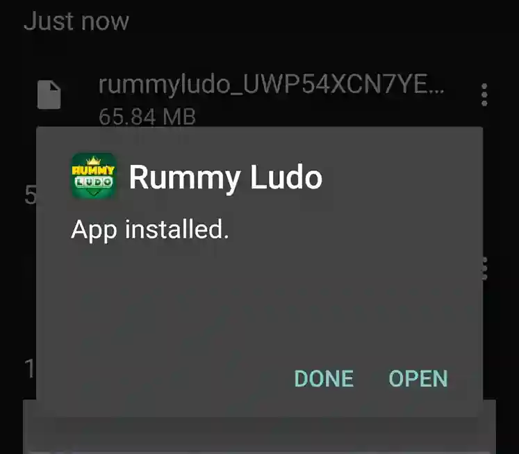 How to Download Rummy Ludo APK for Android and iOS
